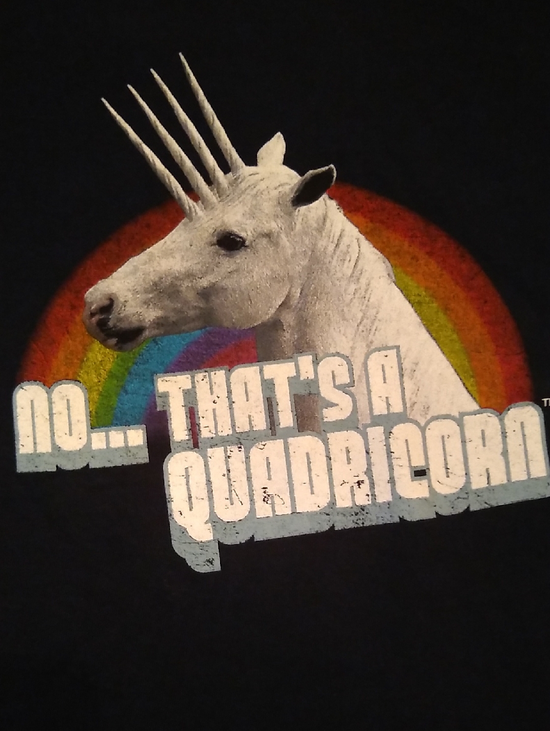 Quadricorn And Rainbow T-Shirt